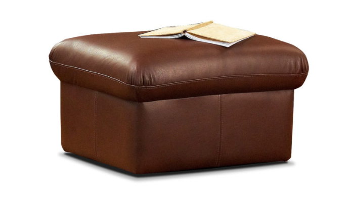 Nevada Leather